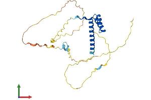 AlphaFold protein structure predicition of Human Recombinant MSX2 Protein, UniprotID P35548
