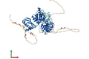 AlphaFold protein structure predicition of Mouse Recombinant Gtpbp1 Protein, UniprotID O08582