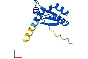 AlphaFold protein structure predicition of Human Recombinant RPL30 Protein, UniprotID P62888