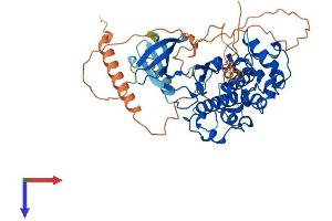AlphaFold protein structure predicition of Human Recombinant CDK14 Protein, UniprotID O94921