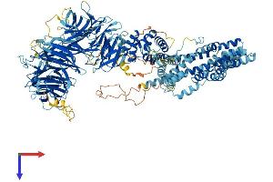 AlphaFold protein structure predicition of Human Recombinant ELP1 Protein, UniprotID O95163