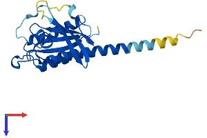 AlphaFold protein structure predicition of Mouse Recombinant Rab35 Protein, UniprotID Q6PHN9