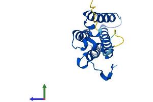 AlphaFold protein structure predicition of Mouse Recombinant Ormdl3 Protein, UniprotID Q9CPZ6