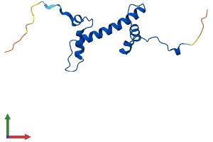 AlphaFold protein structure predicition of Mouse Recombinant H2az2 Protein, UniprotID Q3THW5