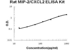 Rat CXCL2 PicoKine ELISA Kit standard curve