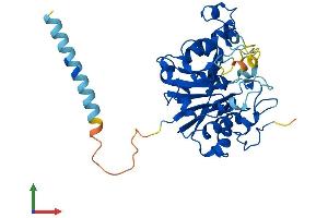 AlphaFold protein structure predicition of Mouse Recombinant Glt8d2 Protein, UniprotID Q640P4
