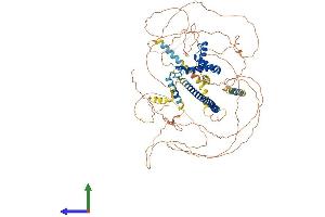 AlphaFold protein structure predicition of Human Recombinant SOX6 Protein, UniprotID P35712