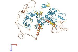 AlphaFold protein structure predicition of Human Recombinant ZNF749 Protein, UniprotID O43361