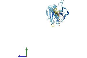 AlphaFold protein structure predicition of Mouse Recombinant Ccdc25 Protein, UniprotID Q78PG9