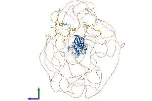 AlphaFold protein structure predicition of Human Recombinant NKTR Protein, UniprotID P30414