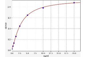 Typical standard curve