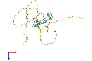 AlphaFold protein structure predicition of Human Recombinant KLF14 Protein, UniprotID Q8TD94