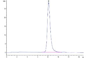 The purity of Mouse IL-23R is greater than 95 % as determined by SEC-HPLC.