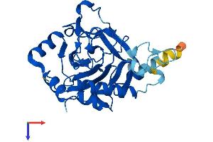 AlphaFold protein structure predicition of Mouse Recombinant Phyhd1 Protein, UniprotID Q9DB26