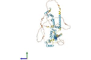 AlphaFold protein structure predicition of Human Recombinant ZNF512 Protein, UniprotID Q96ME7