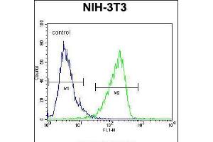 Flow cytometric analysis of NIH-3T3 cells (right histogram) compared to a negative control cell (left histogram). (CNN3 anticorps  (AA 129-158))