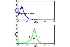 Flow cytometric analysis of MCF-7 cells using MMP14 polyclonal antibody (bottom histogram) compared to a negative control cell (top histogram). (MMP14 anticorps  (N-Term))