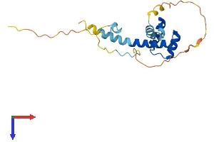AlphaFold protein structure predicition of Human Recombinant HESX1 Protein, UniprotID Q9UBX0