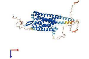 AlphaFold protein structure predicition of Mouse Recombinant Cckar Protein, UniprotID O08786
