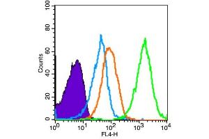 Mouse spleen cells probed with AMPK alpha-1 Polyclonal Antibody, unconjugated  at 1:100 dilution for 30 minutes compared to control cells (blue) and isotype control (orange)