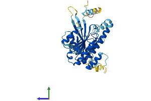 AlphaFold protein structure predicition of Mouse Recombinant Dync2li1 Protein, UniprotID Q8K0T2