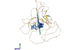 AlphaFold protein structure predicition of Human Recombinant PPP1R13L Protein, UniprotID Q8WUF5