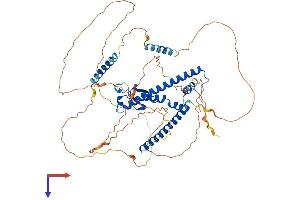 AlphaFold protein structure predicition of Mouse Recombinant Mlph Protein, UniprotID Q91V27