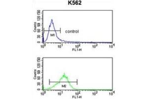 Flow Cytometry (FACS) image for anti-Neutrophil Cytosolic Factor 4, 40kDa (NCF4) antibody (ABIN3003340)