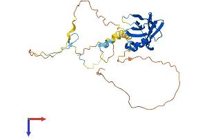 AlphaFold protein structure predicition of Human Recombinant PPP1R3C Protein, UniprotID Q9UQK1