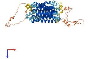 AlphaFold protein structure predicition of Human Recombinant SLC18A3 Protein, UniprotID Q16572