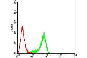 Flow cytometric analysis of Hela cells using PLXNA1 mouse mAb (green) and negative control (red).