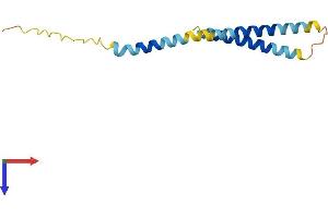 AlphaFold protein structure predicition of Mouse Recombinant Mrfap1 Protein, UniprotID Q9CQL7