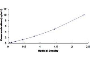 Typical standard curve (KISS1R Kit ELISA)