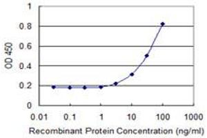 Detection limit for recombinant GST tagged RAB7L1 is 1 ng/ml as a capture antibody. (RAB7L1 anticorps  (AA 1-203))