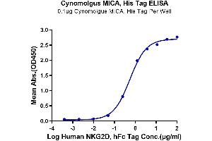 Immobilized Cynomolgus MICA, His Tag at 1 μg/mL (100 μL/well) on the plate.