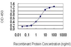 Detection limit for recombinant GST tagged ATOX1 is 0. (ATOX1 anticorps  (AA 1-68))