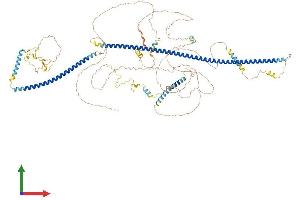 AlphaFold protein structure predicition of Mouse Recombinant Trak1 Protein, UniprotID Q6PD31