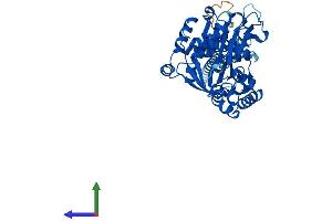 AlphaFold protein structure predicition of Human Recombinant ENTPD1 Protein, UniprotID P49961