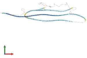 AlphaFold protein structure predicition of Mouse Recombinant Sycp1 Protein, UniprotID Q62209