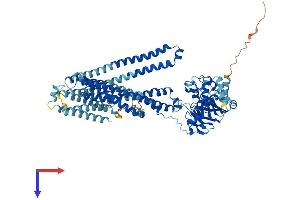 AlphaFold protein structure predicition of Mouse Recombinant Abcb9 Protein, UniprotID Q9JJ59