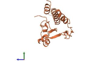 AlphaFold protein structure predicition of Human Recombinant MDS2 Protein, UniprotID Q8NDY4
