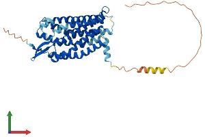 AlphaFold protein structure predicition of Human Recombinant LPAR5 Protein, UniprotID Q9H1C0