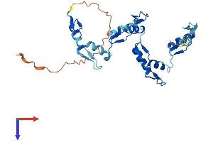 AlphaFold protein structure predicition of Human Recombinant ZNF80 Protein, UniprotID P51504