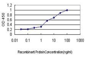 Detection limit for recombinant GST tagged ATP6V1C2 is approximately 0. (ATP6V1C2 anticorps  (AA 188-253))