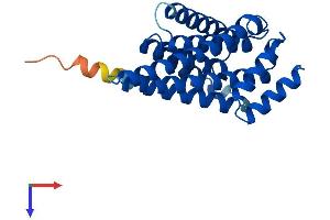 AlphaFold protein structure predicition of Human Recombinant YWHAZ Protein, UniprotID P63104