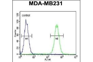 FKBP1A Antibody (C-term) (ABIN1882082 and ABIN2841885) flow cytometric analysis of MDA-M cells (right histogram) compared to a negative control cell (left histogram). (FKBP1A anticorps  (C-Term))