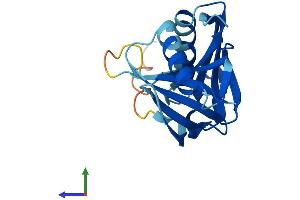 AlphaFold protein structure predicition of Human Recombinant HEBP1 Protein, UniprotID Q9NRV9