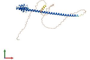 AlphaFold protein structure predicition of Human Recombinant TEX13B Protein, UniprotID Q9BXU2