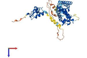 AlphaFold protein structure predicition of Mouse Recombinant Nr2e1 Protein, UniprotID Q64104