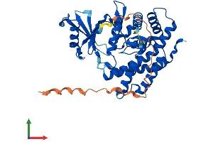 AlphaFold protein structure predicition of Human Recombinant ETNK2 Protein, UniprotID Q9NVF9